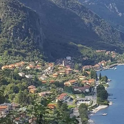 L'erica Onno
