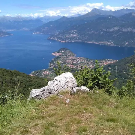 L'erica Отель типа 